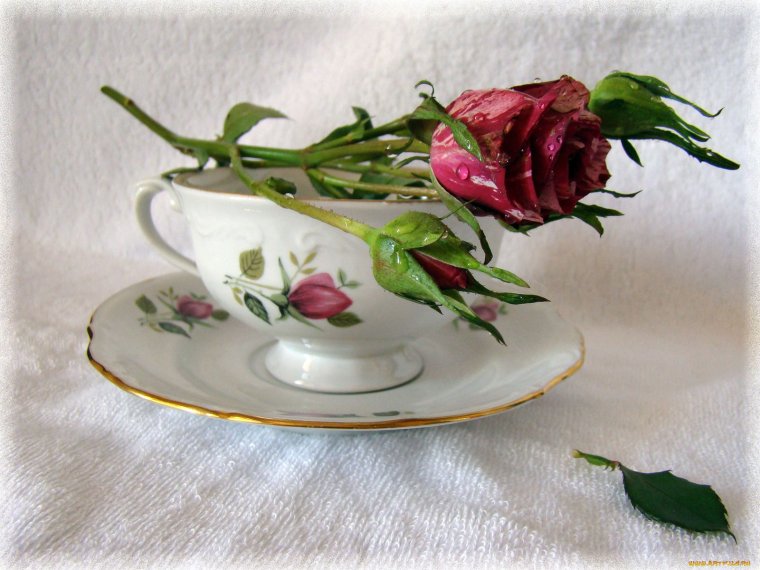 Открытки художницы Maud Humphrey Bogart