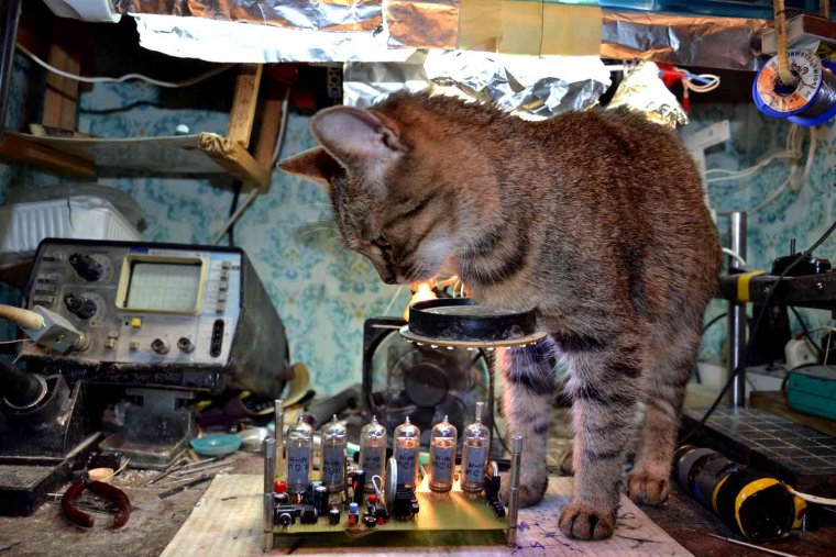 Всемирный день радео любителя