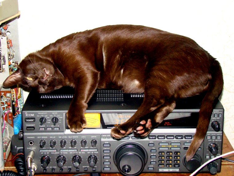 Радиолюбитель карикатура