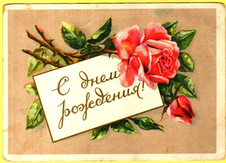 С днем рождения Кактус