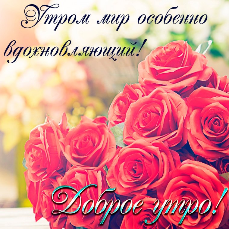 С добрым утром розы