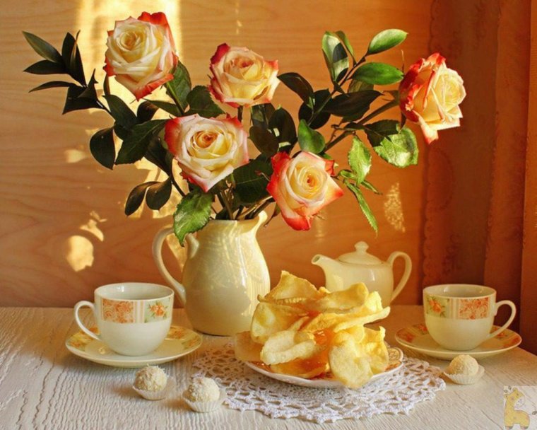 Красивые розы с добрым утром