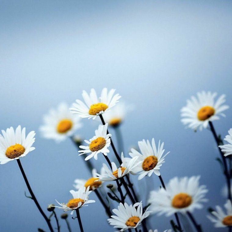 Православное поздравление с днём рождения