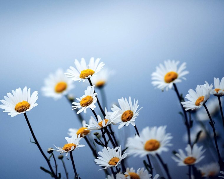 С днем рождения Елена стихи