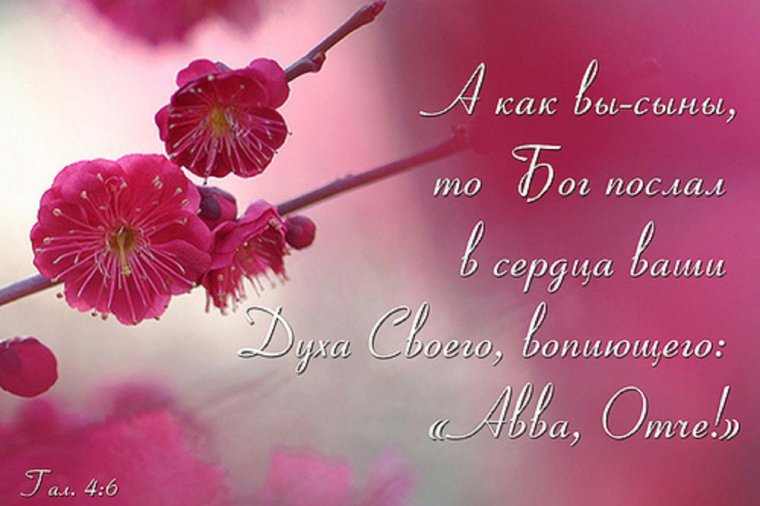 С днем рождения