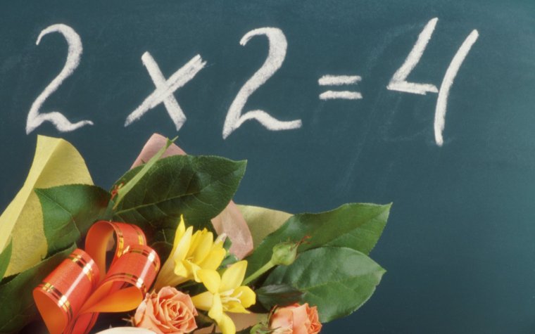 День математика