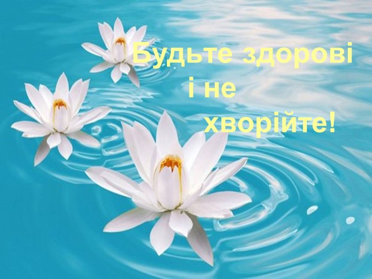 С днём рождения тюльпаны