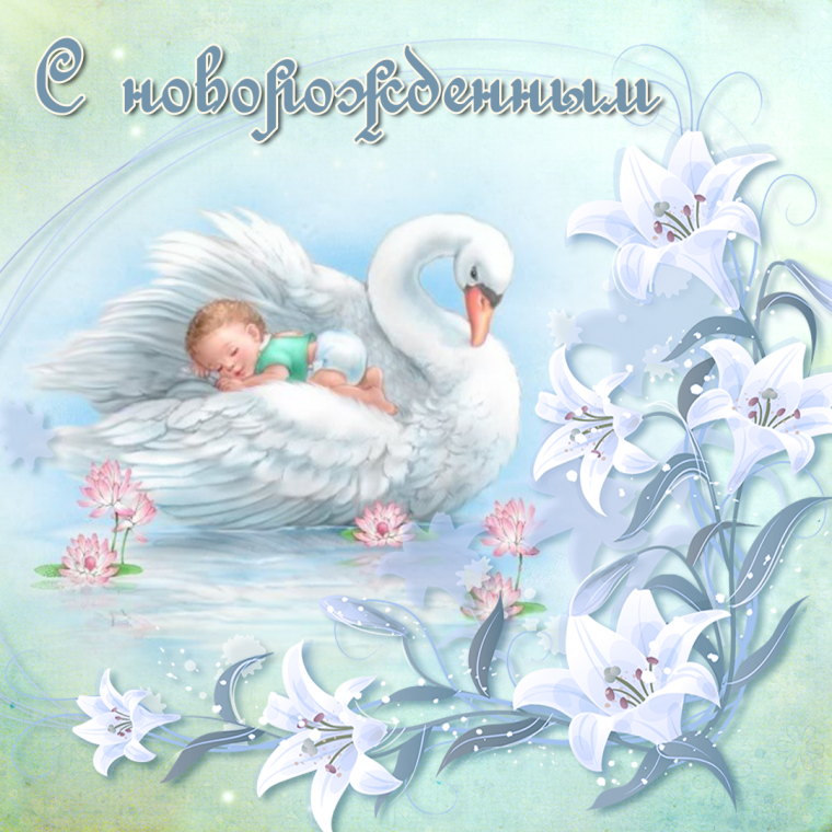 С прибавлением в семействе