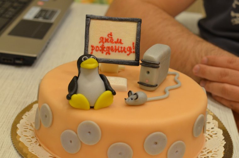 День программиста