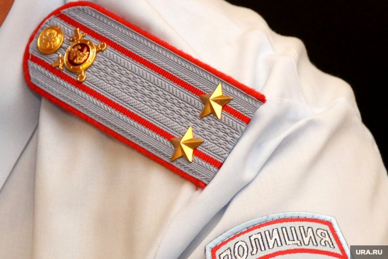 Подарок любимому зятю