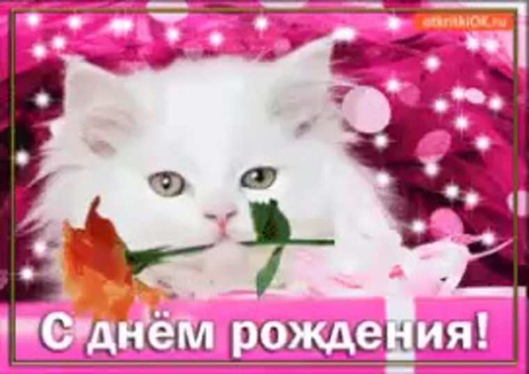 С юбилеем цветы