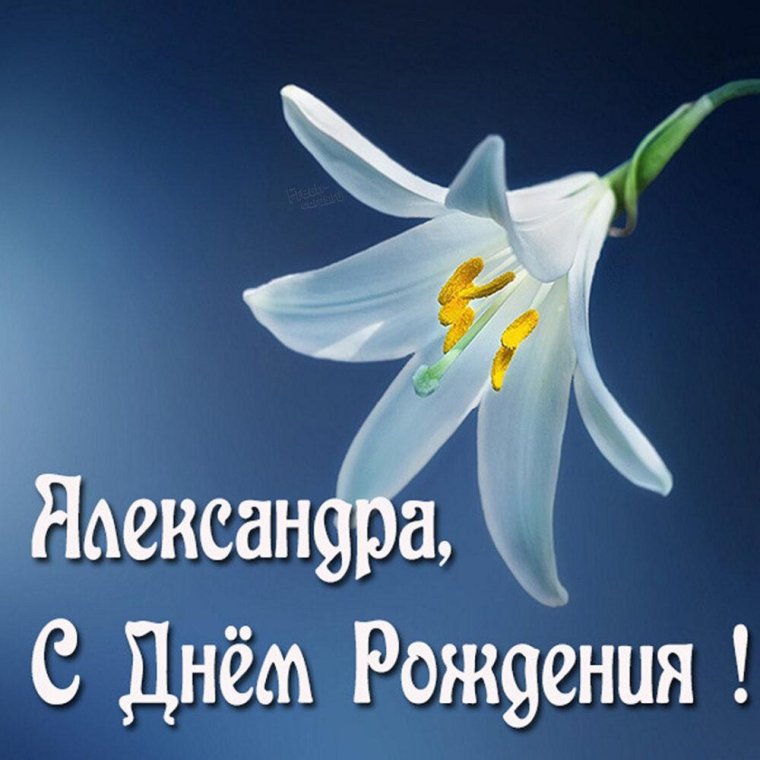 Павел с днём рождения поздравления