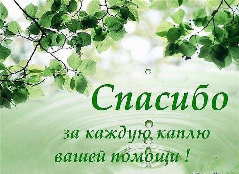 Спасибо за поздравления