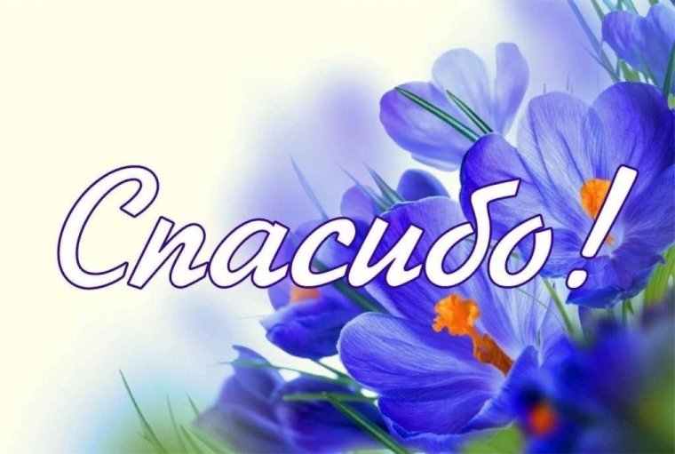 Благодарность картинки