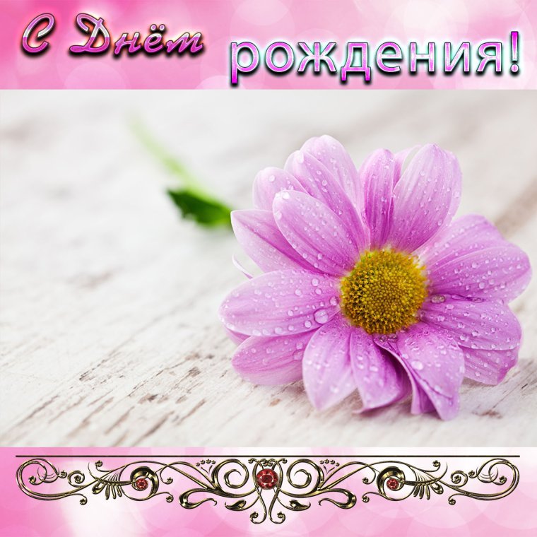 Благодарность цитаты