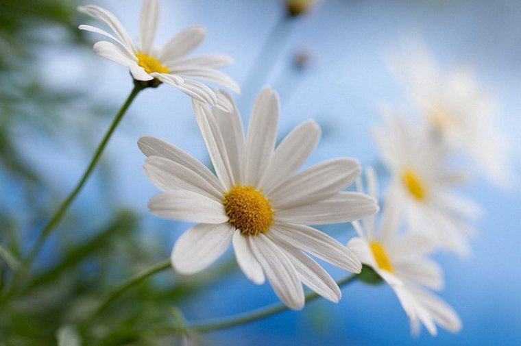 Открытки с благодарностью