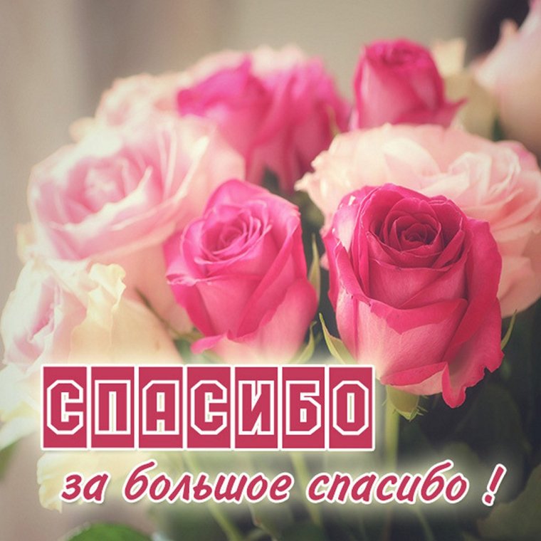 Открытки с благодарностью