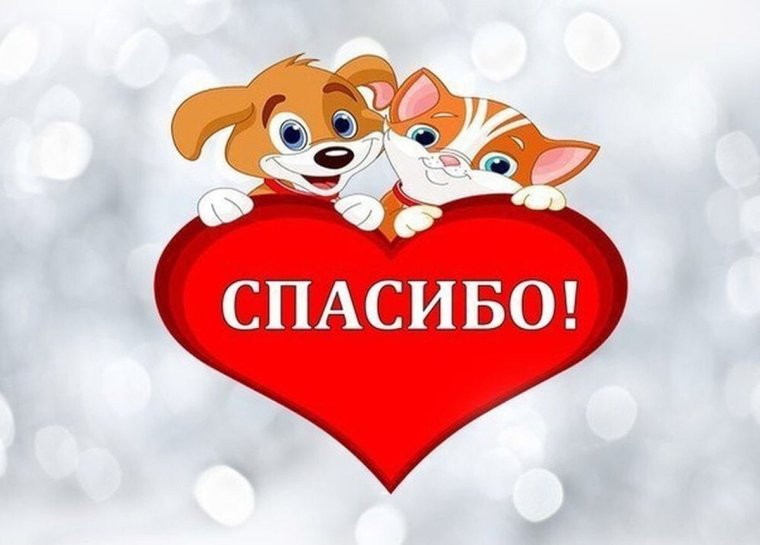 Спасибо вам друзья