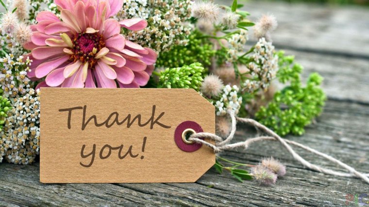 Стихи родным и близким красивые