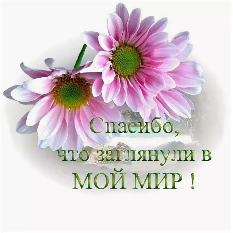 Спасибо за ваше доброе сердце