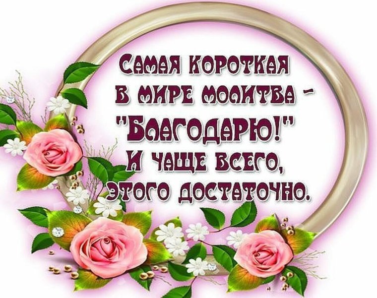 Спасибо всем моим друзьям