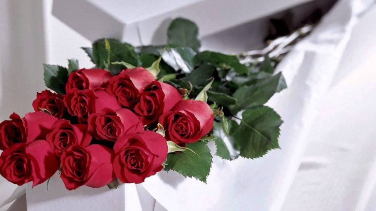 Красивый фон для рабочего стола ромашки