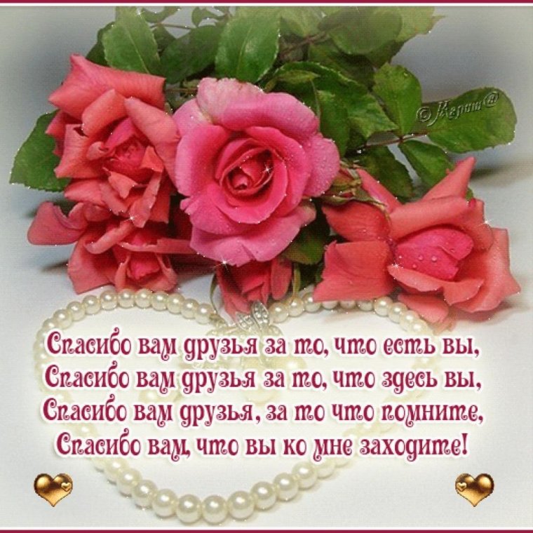 Спасибо за помощь