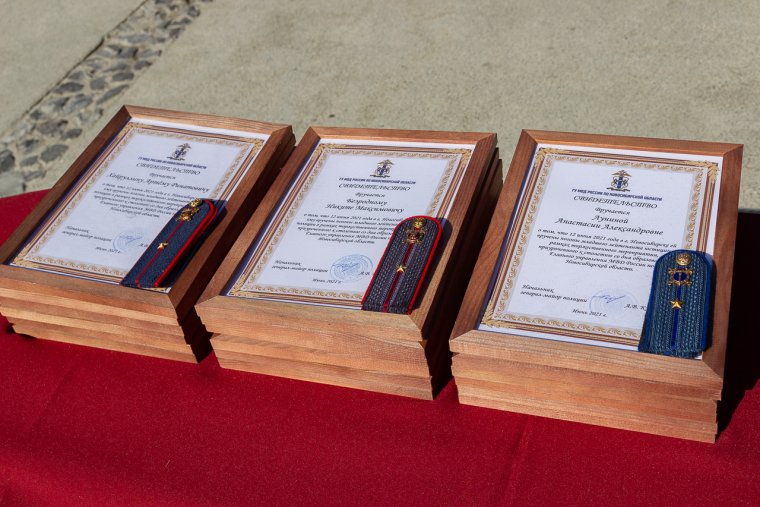 Шарж подполковник