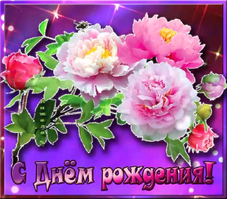 Поздравления с днём рождения