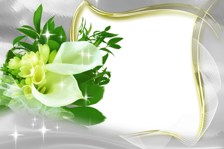 Фон для поздравления