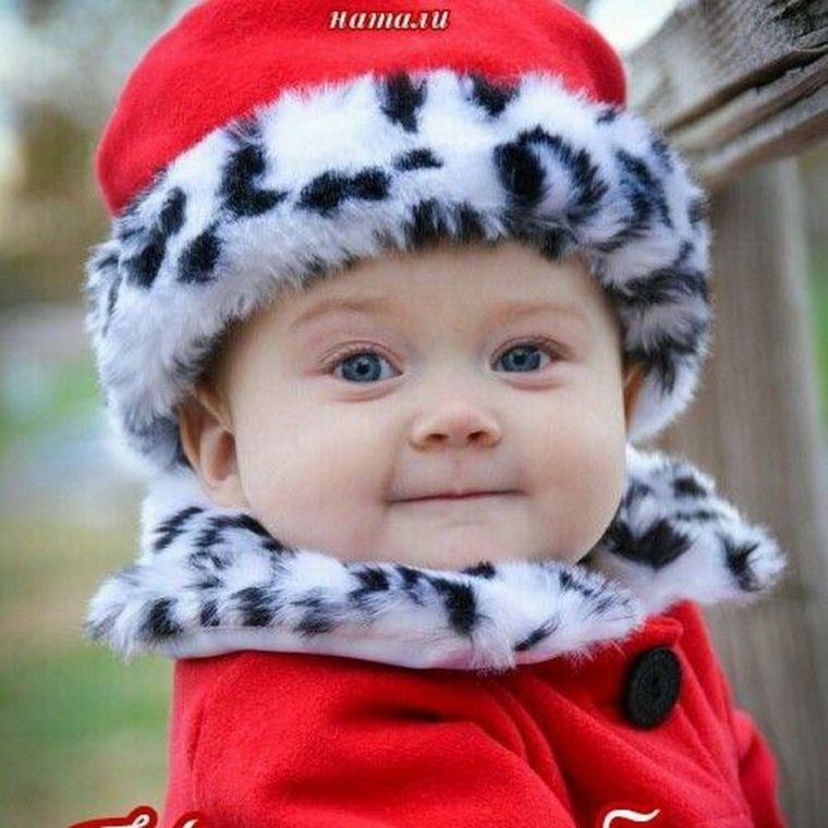 Анна Геддес