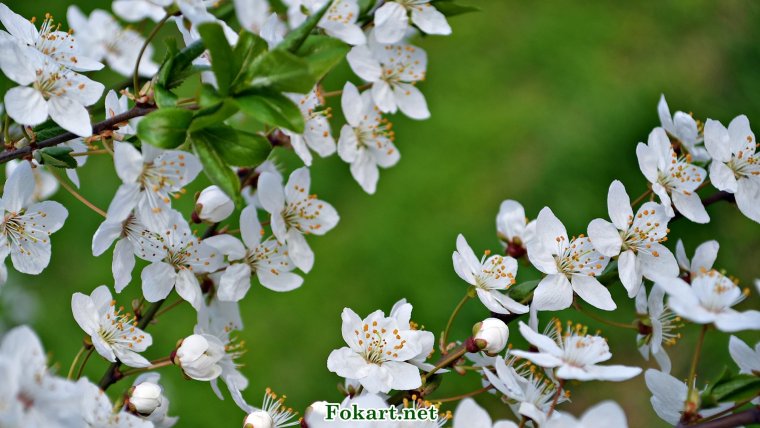 С днём рождения 17 лет