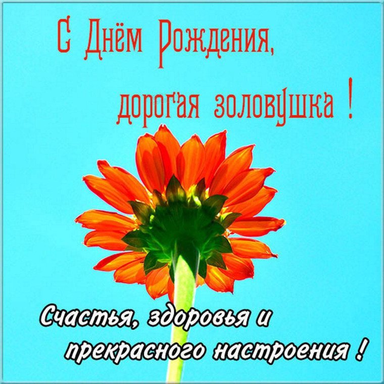 С днем рождения главного бухгалтера