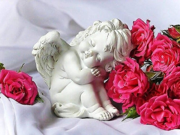 Розы и звезды