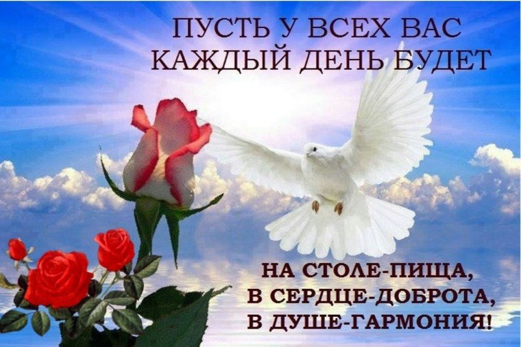 Стихи памяти