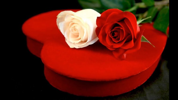 Помним любим цветы