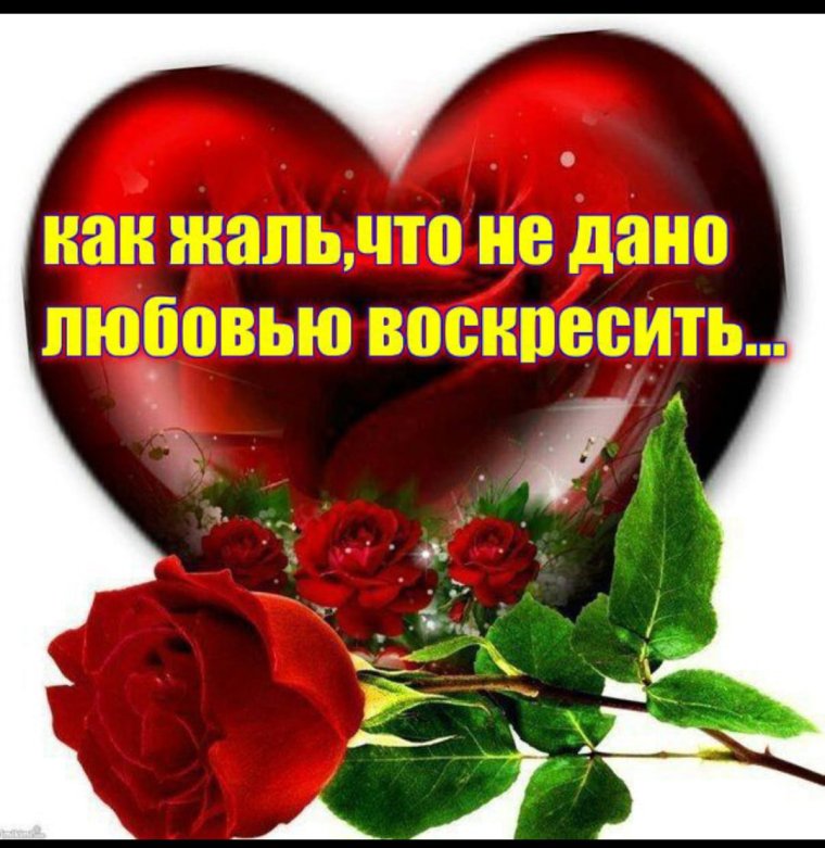 Светлая память