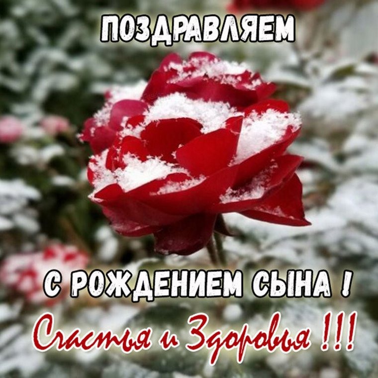 Спасибо за внука