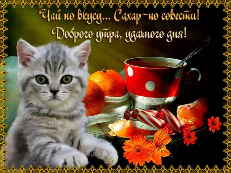 Поздравление с добрым утром