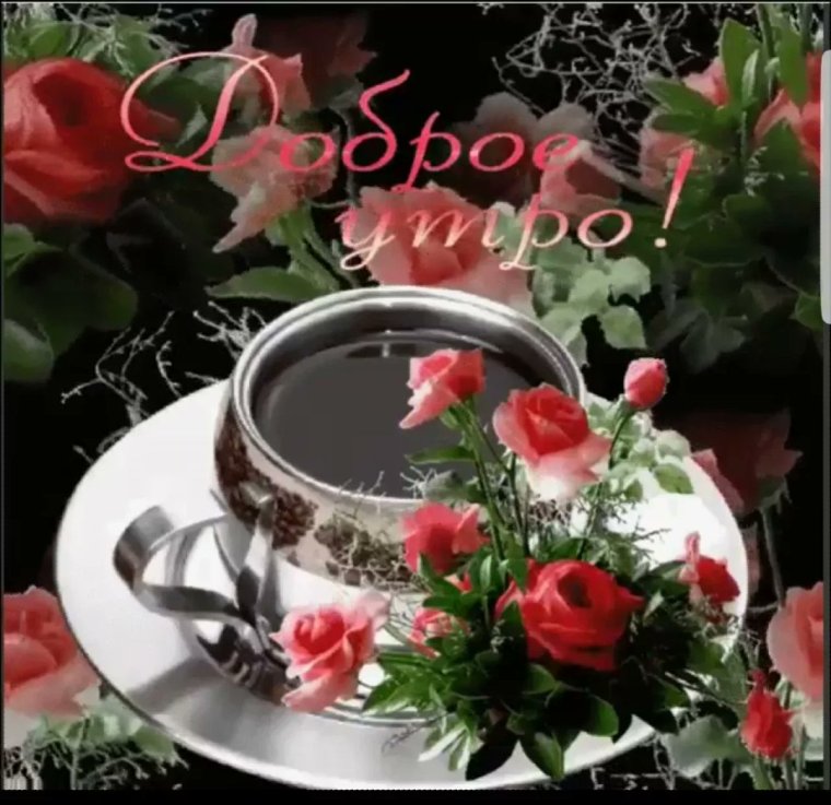 Розы с добрым утром мерцающие