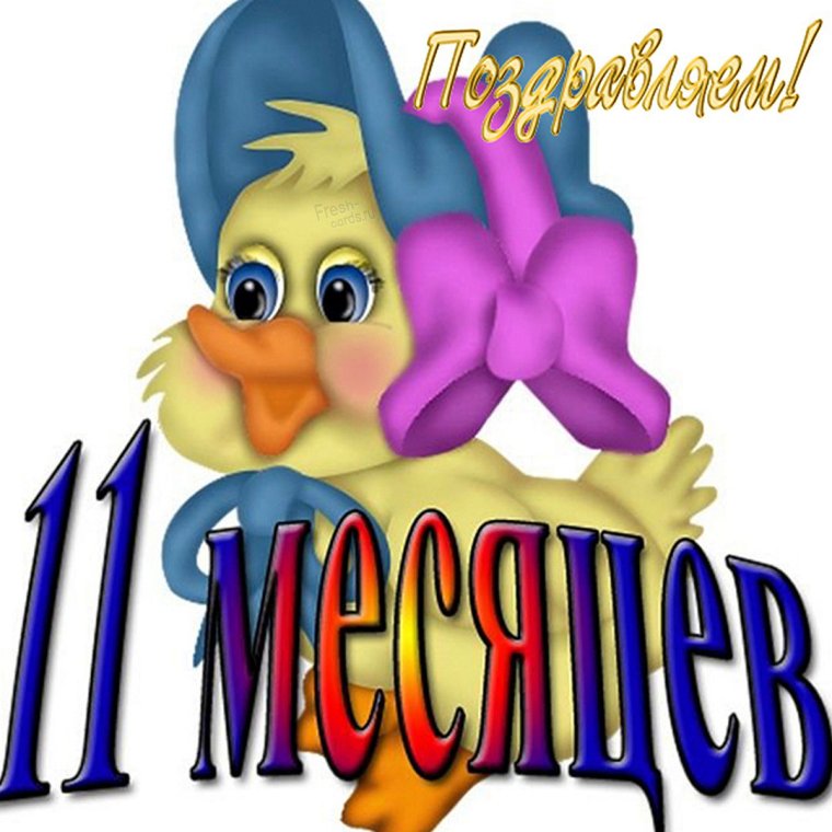 Поздравление с 11 месяцами