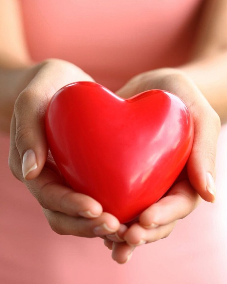 Сердце в руках