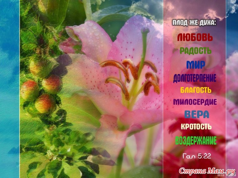 Христианские открытки с Цитатами из Библии