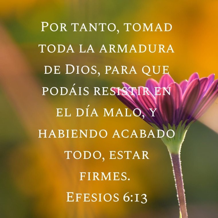 Христианские цитаты из Библии