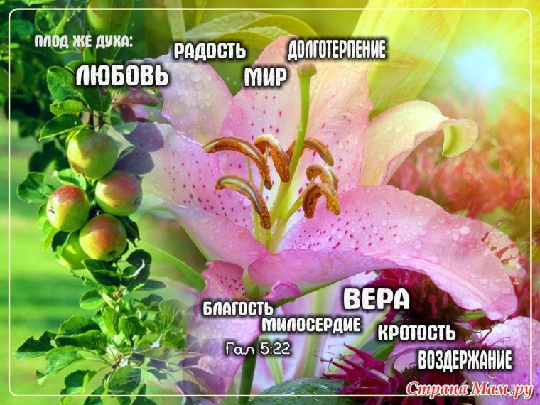 Христианские открытки со стихами из Библии