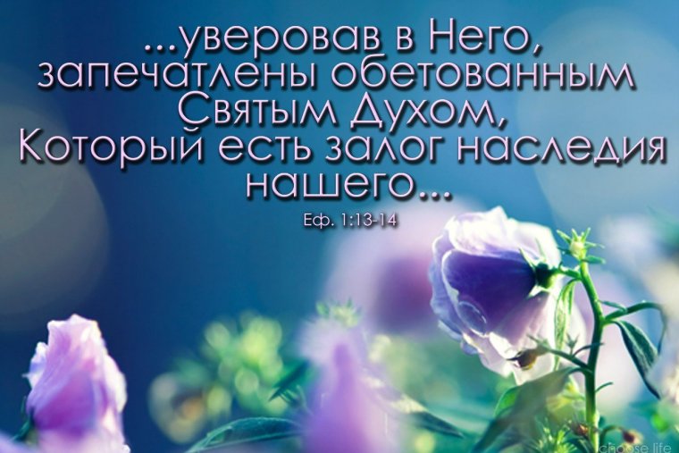 Цитаты из Библии о духе святом