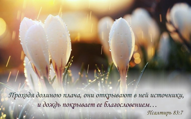 Христианские открытки с благословением