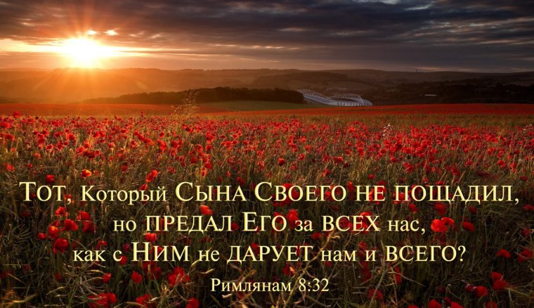 Стихи из Библии