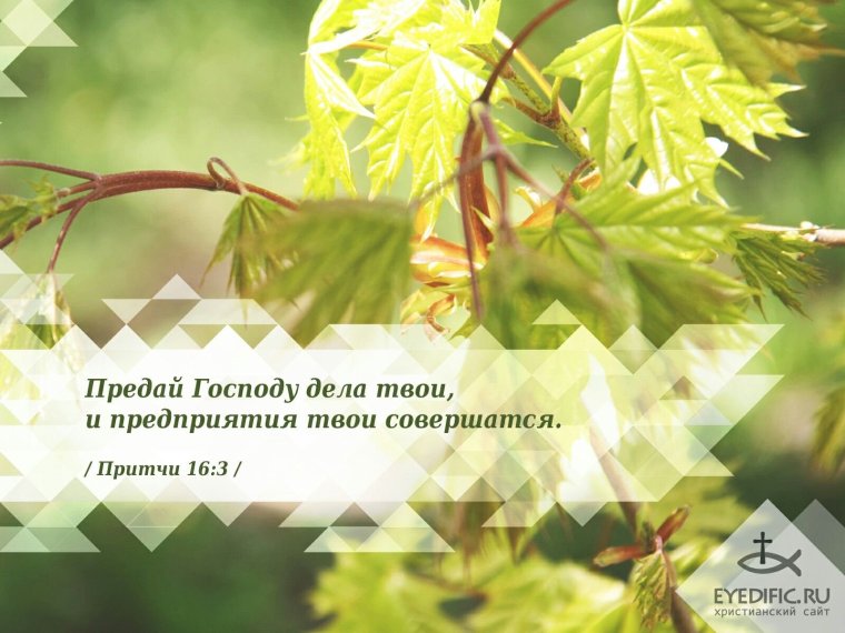 Стихи из Библии