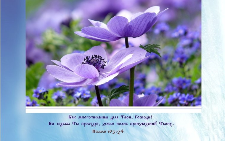 Цветы с христианскими надписями